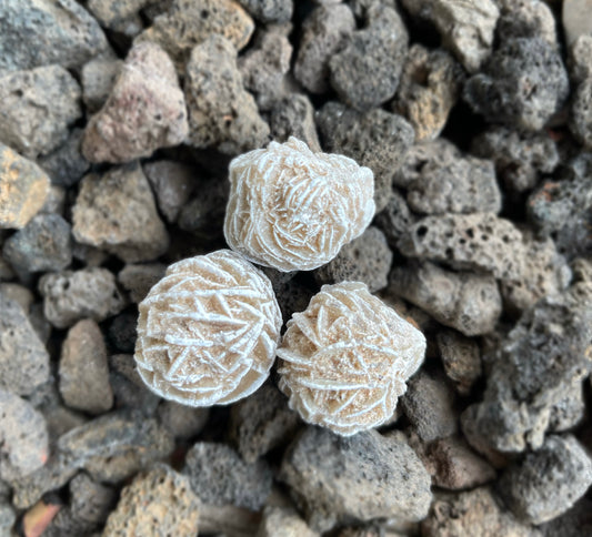 Selenite Desert Gypsum Clusters